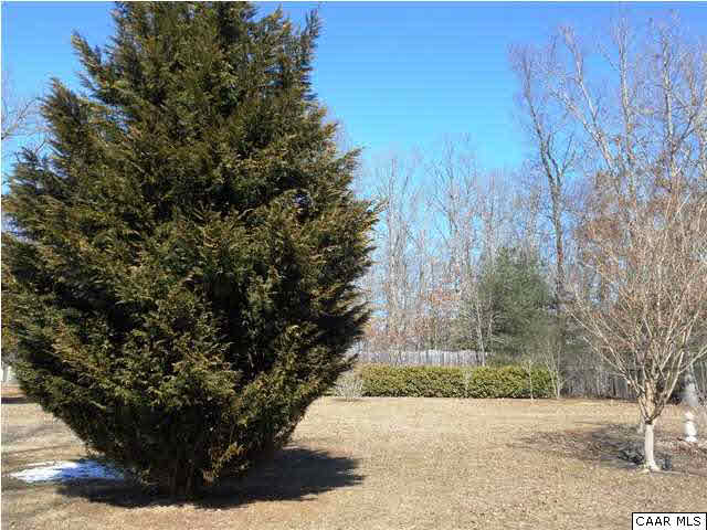 99 Cresmont Road Troy, VA 22974 - Photo 27 of 29 a view of a pathway of a yard