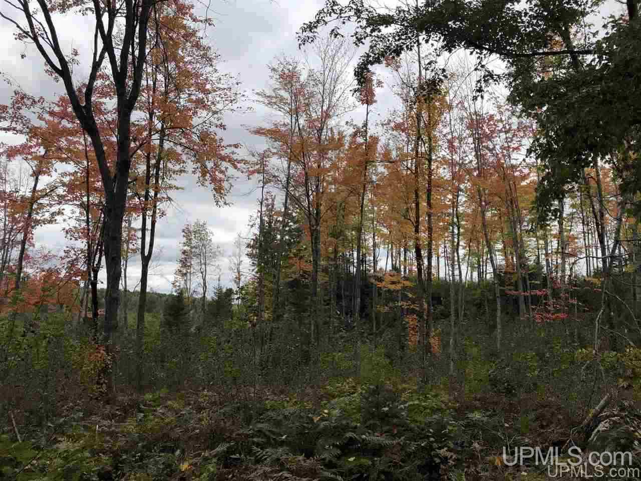 Tbd Off Woods Road Negaunee, MI 49849 - Photo 11 of 15