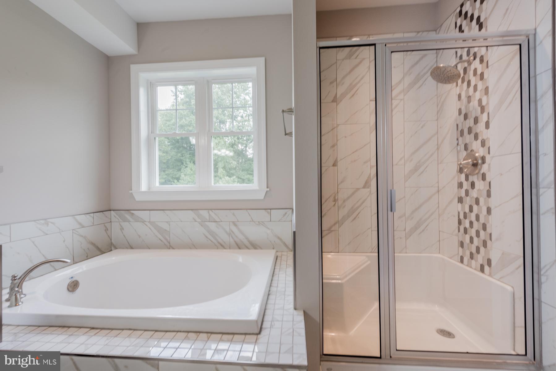 17044 Hardy Road Mount Airy, MD 21771 - Photo 19 of 29 Bath (Master)
