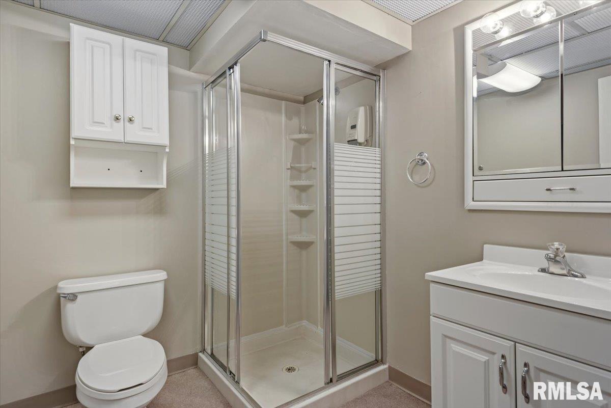 41 West Hazel Dell Lane Springfield, IL 62703 - Photo 38 of 61