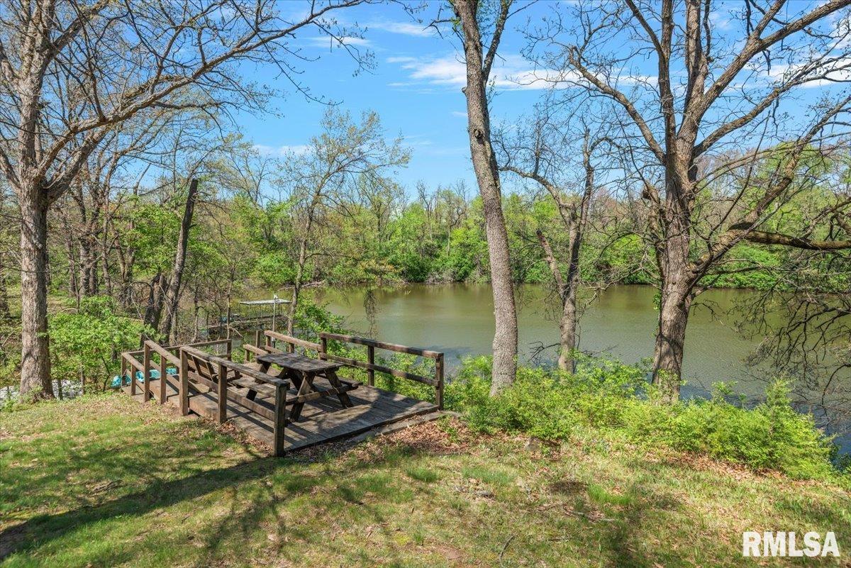 41 West Hazel Dell Lane Springfield, IL 62703 - Photo 54 of 61