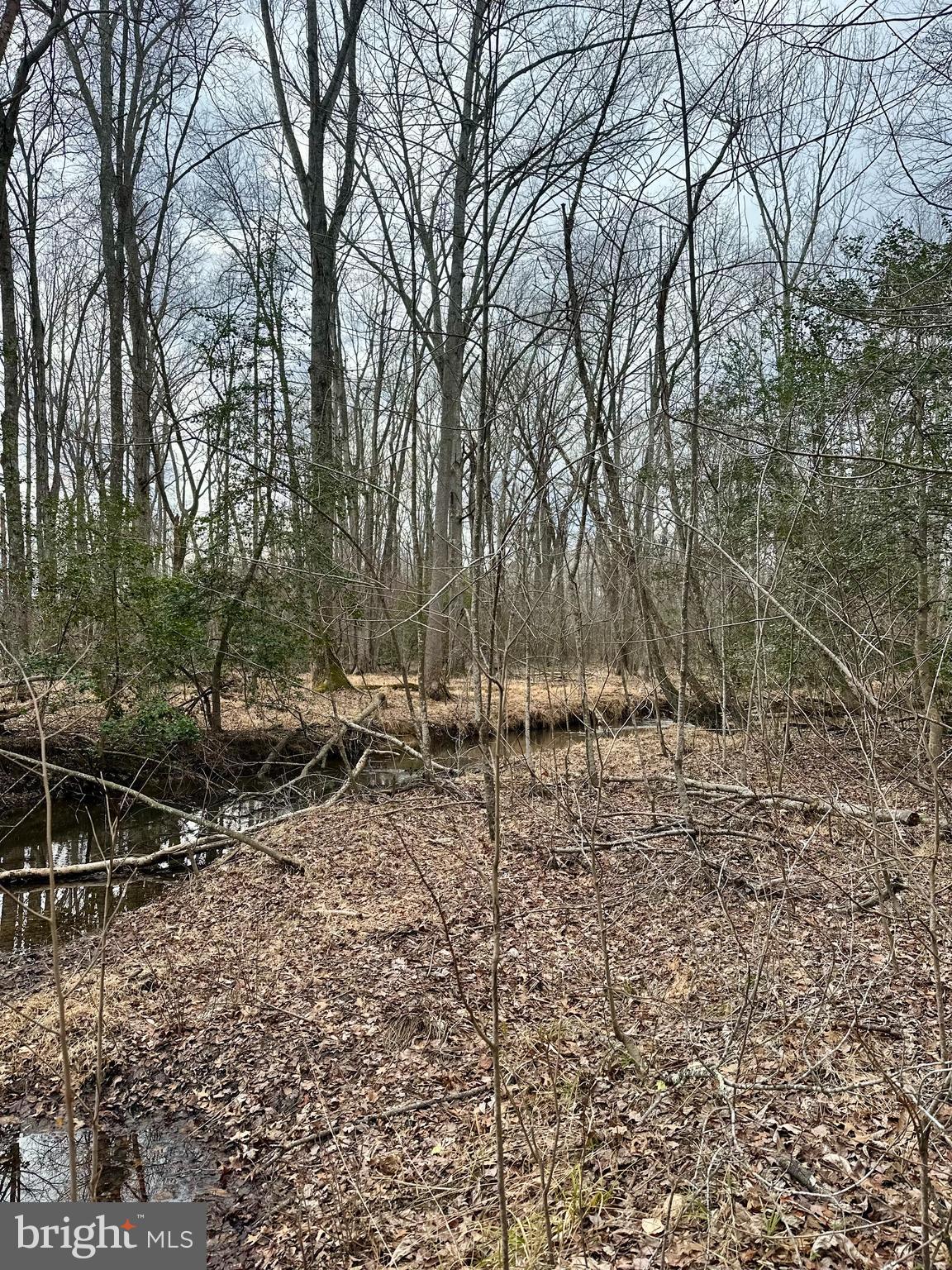 9680 Adams Willett Road Nanjemoy, MD 20662 - Photo 11 of 12