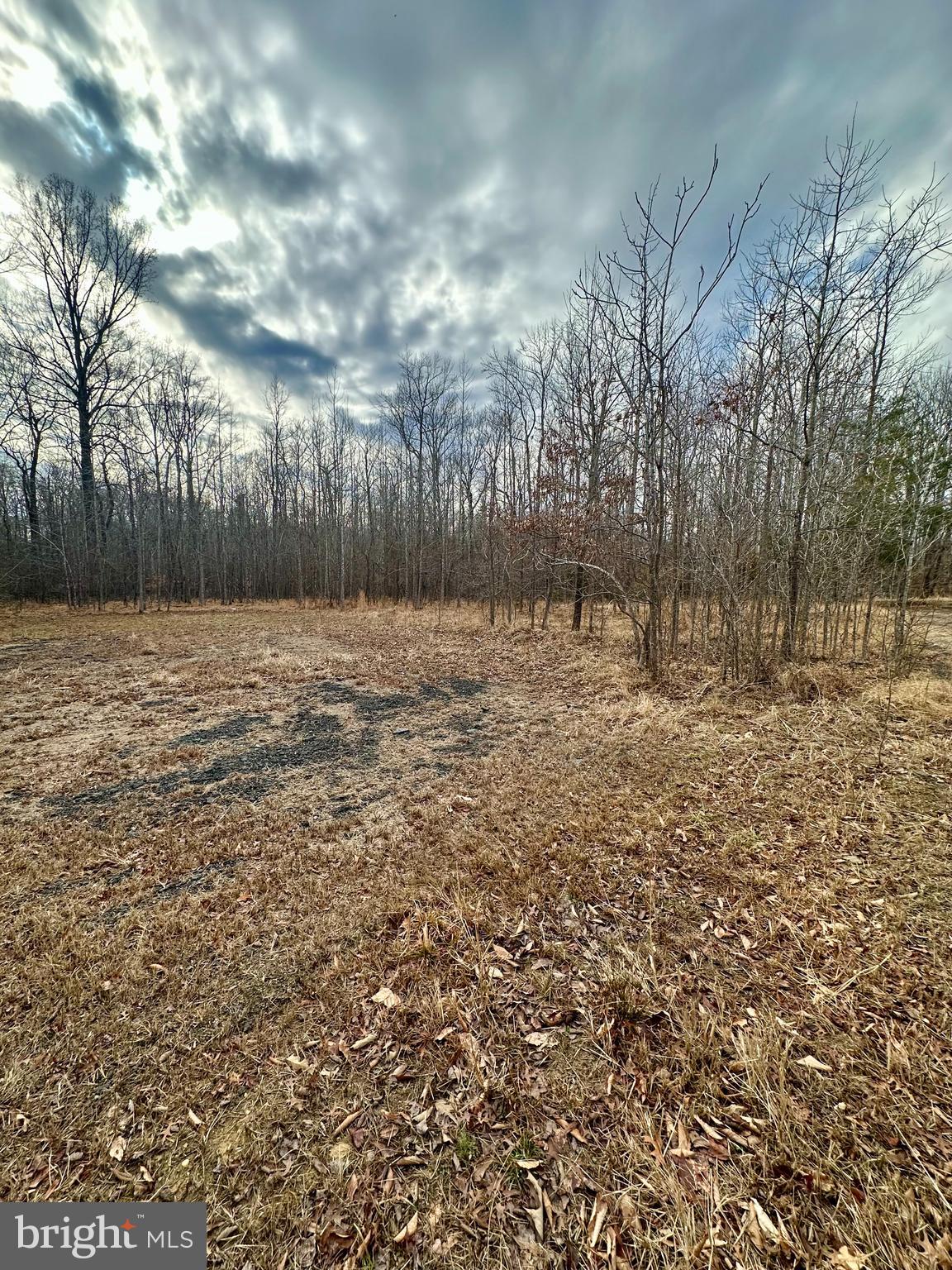 9680 Adams Willett Road Nanjemoy, MD 20662 - Photo 5 of 12