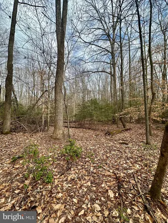 $149,999 | 9680 Adams Willett Road, Nanjemoy, MD 20662