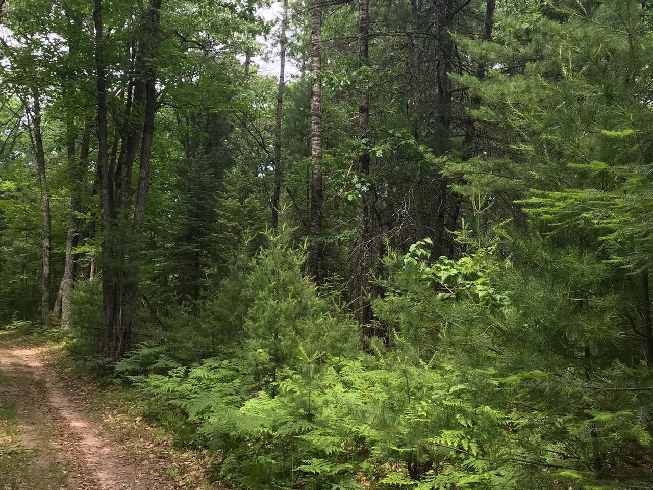 On River Road, Unit LOT 1 Rhinelander, WI 54501 - Photo 12 of 13 Gallery Image 12