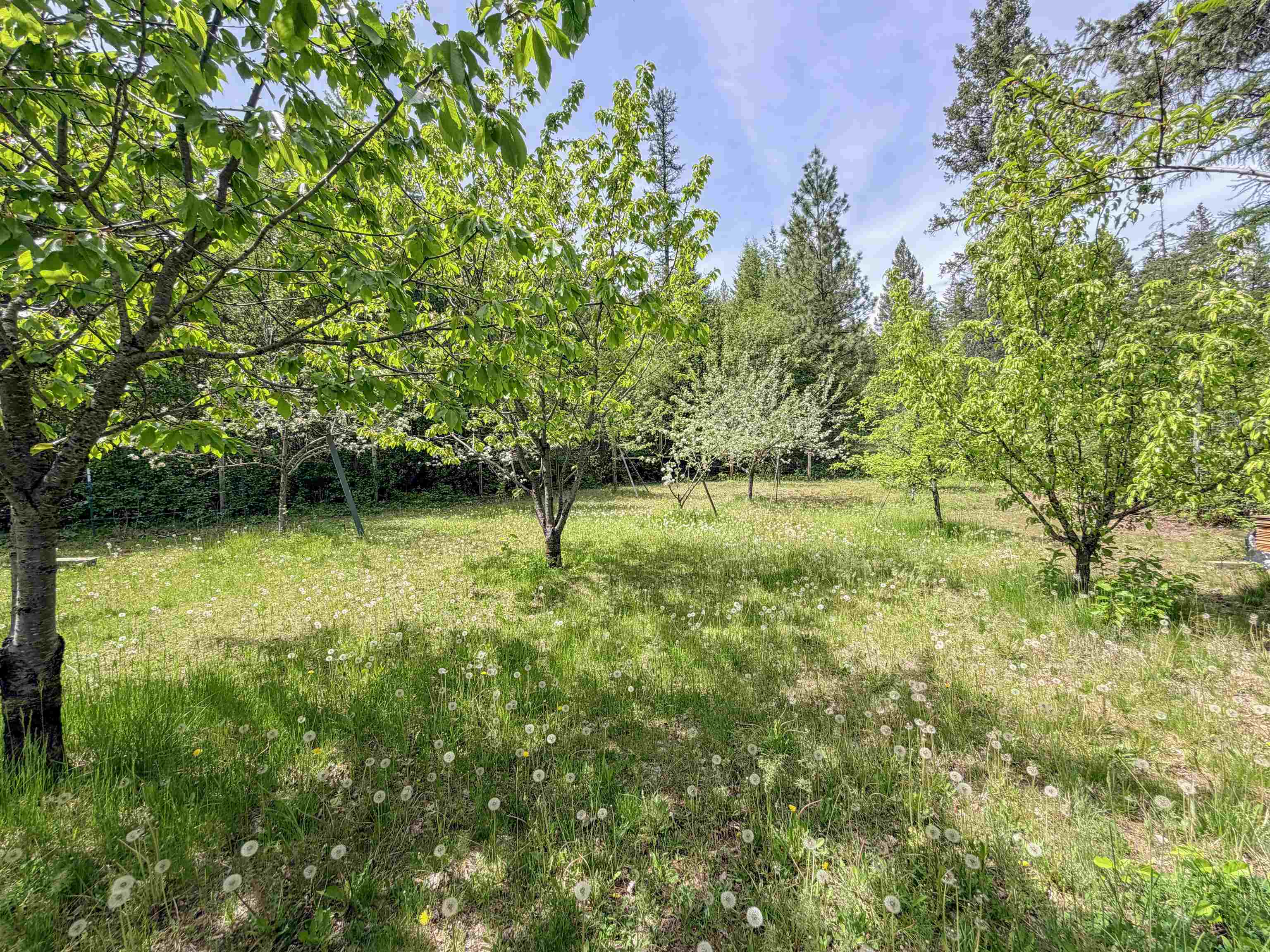 2015 Thoni Road Addy, WA 99101 - Photo 48 of 50