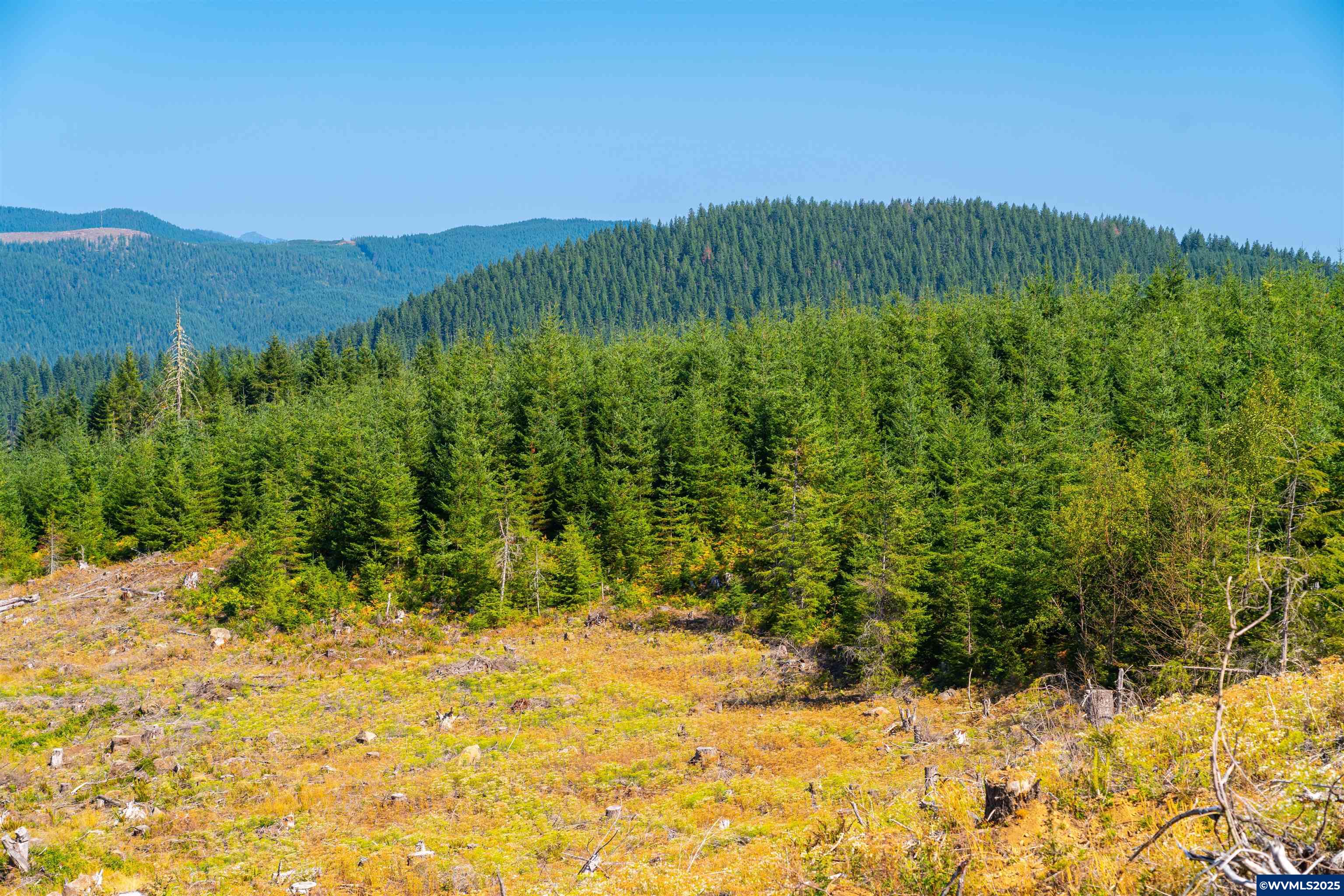 0 Bald Mountain Access Road Willamina, OR 97396 - Photo 22 of 30