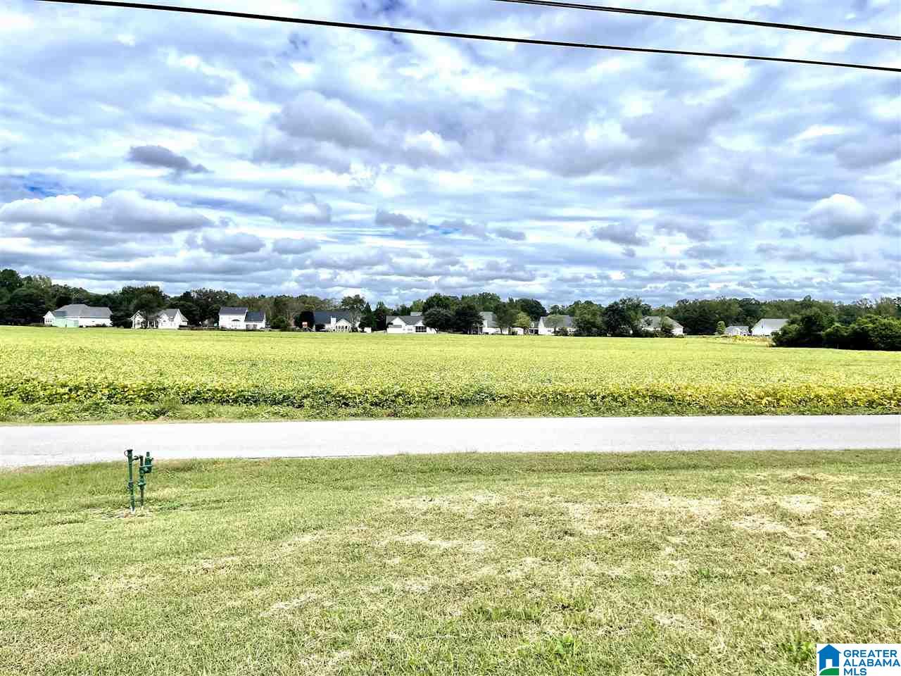 208 Old Downing Ml Road Anniston, AL 36207 - Photo 39 of 50