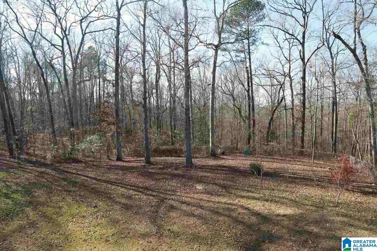 377 Harrison Shipman Road Jasper, AL 35503 - Photo 15 of 15