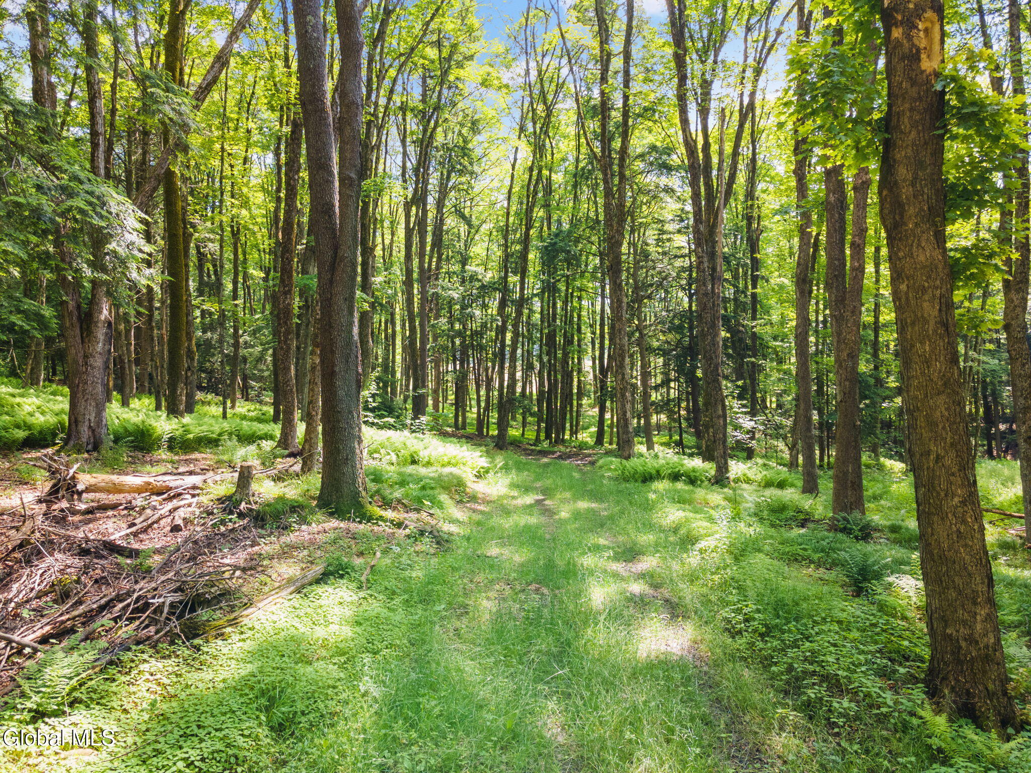 67-239BearGulchRd_67