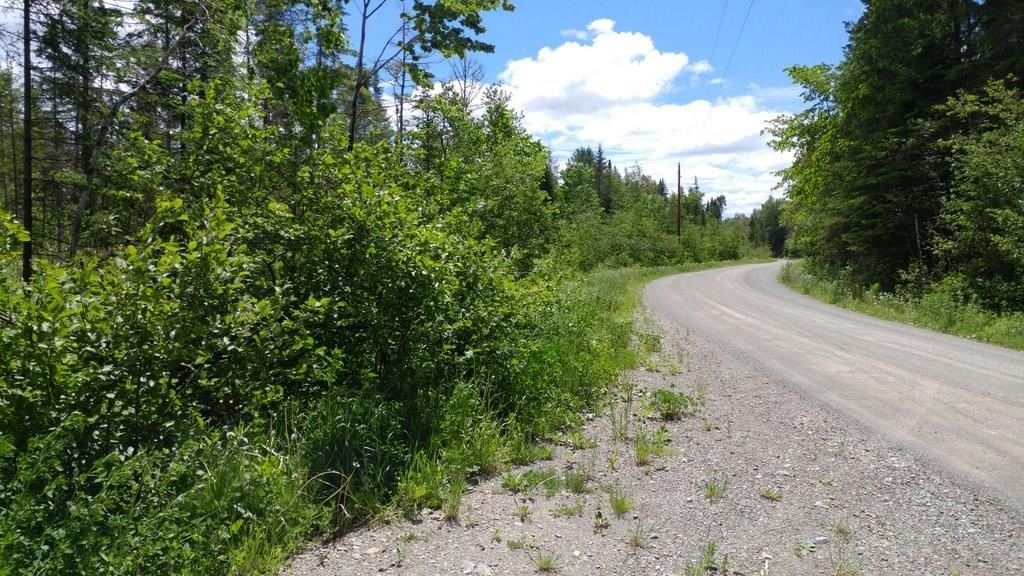 Off Jackins Settlement Road Orient, ME 04471 - Photo 8 of 25 Photo
