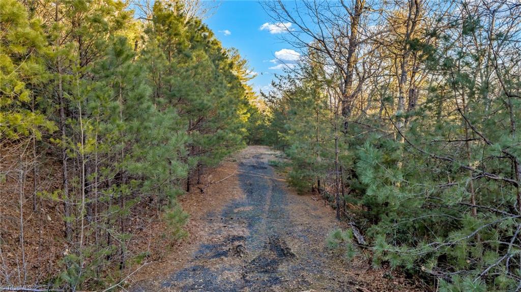 Tbd Lump Road Purlear, NC 28665 - Photo 15 of 25