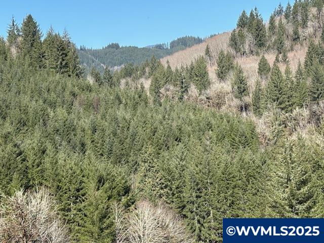 0 Logsden Road Blodgett, OR 97326 - Photo 6 of 24