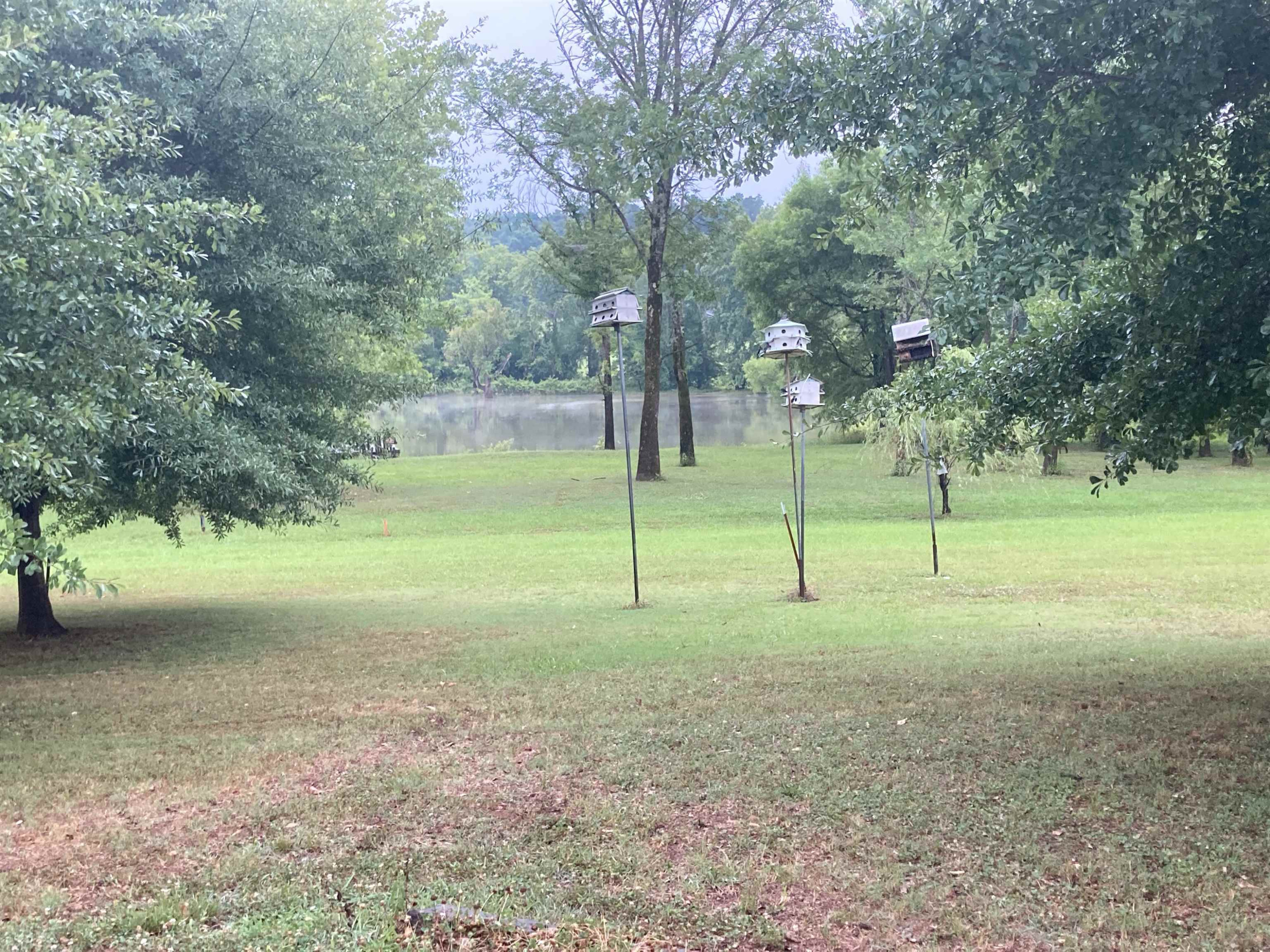 Willow Oaks (lot 3) Road Decaturville, TN 38329 - Photo 6 of 7 Photo 6