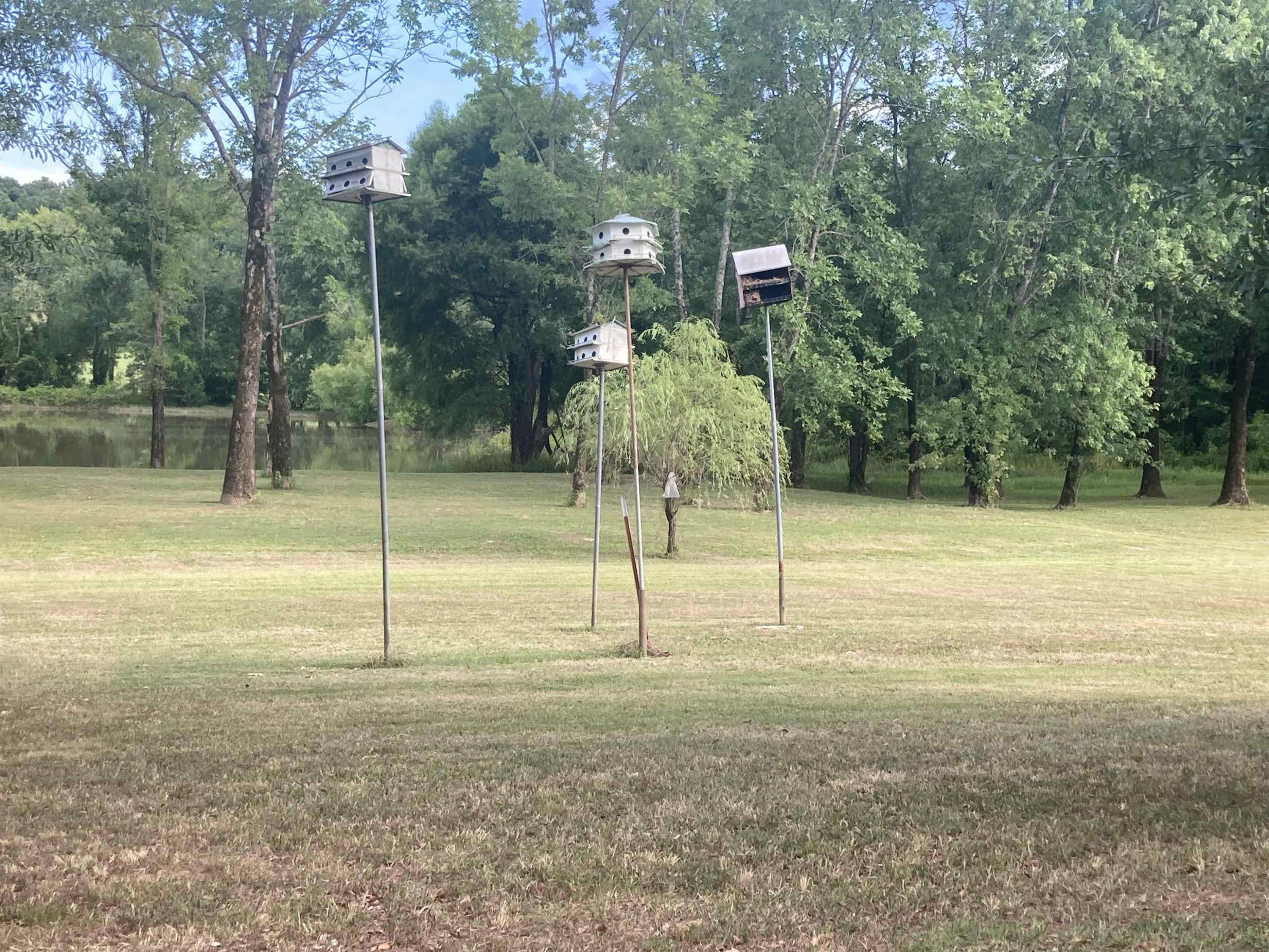 Willow Oaks (lot 3) Road Decaturville, TN 38329 - Photo 7 of 7 Photo 7