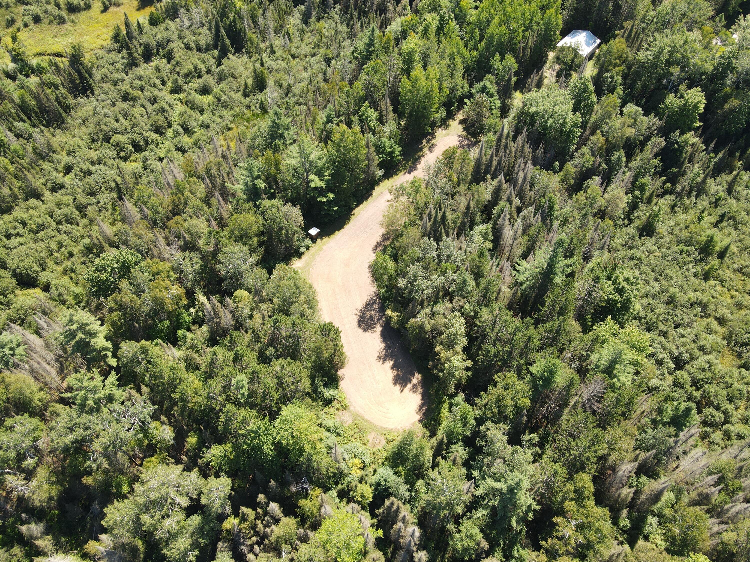 6720 Welch Road Curran, MI 48728 - Photo 120 of 155 DJI_0671