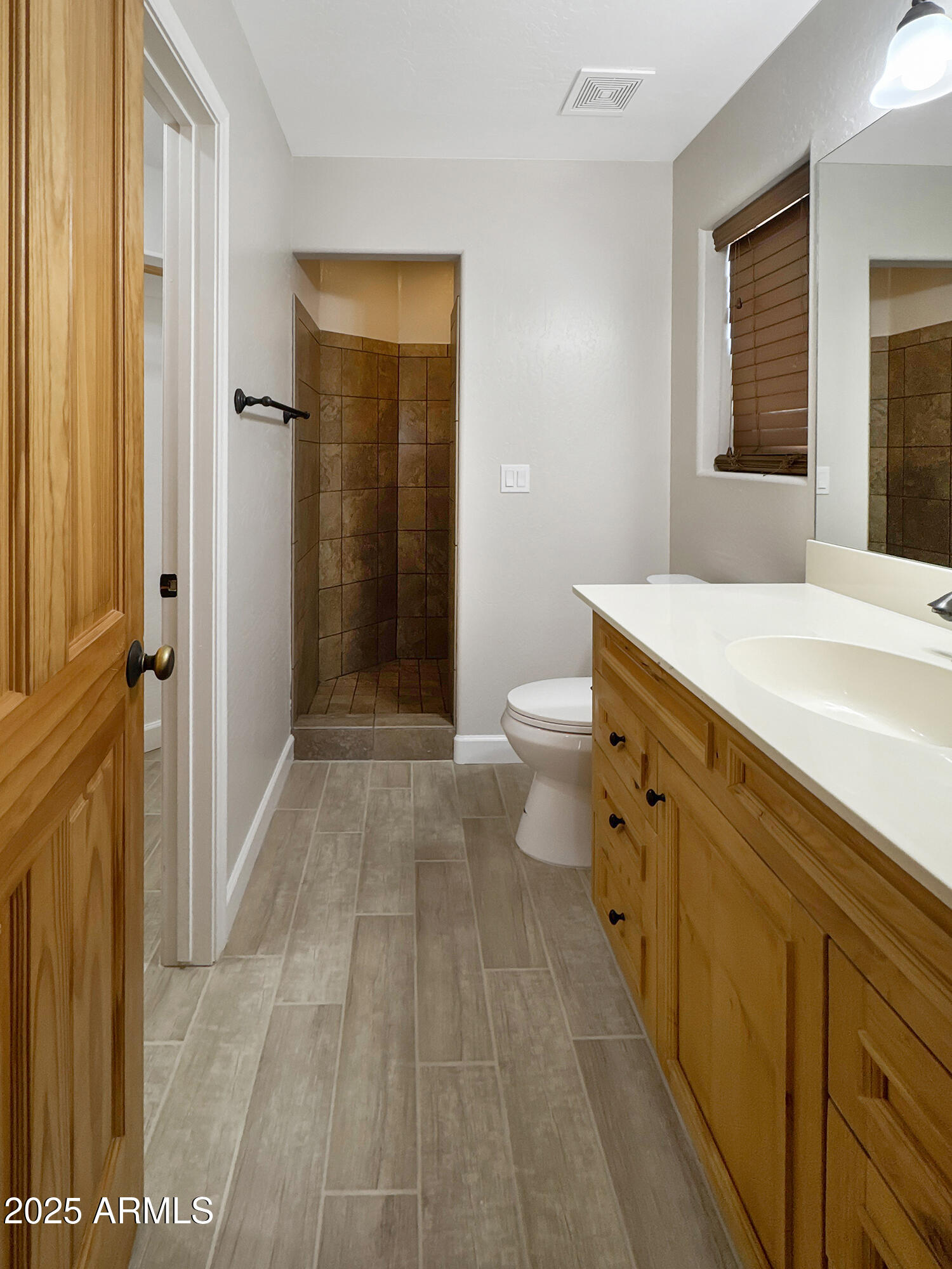321 South Golden Bear Point Payson, AZ 85541 - Photo 14 of 23 a bathroom with a sink a toilet and shower