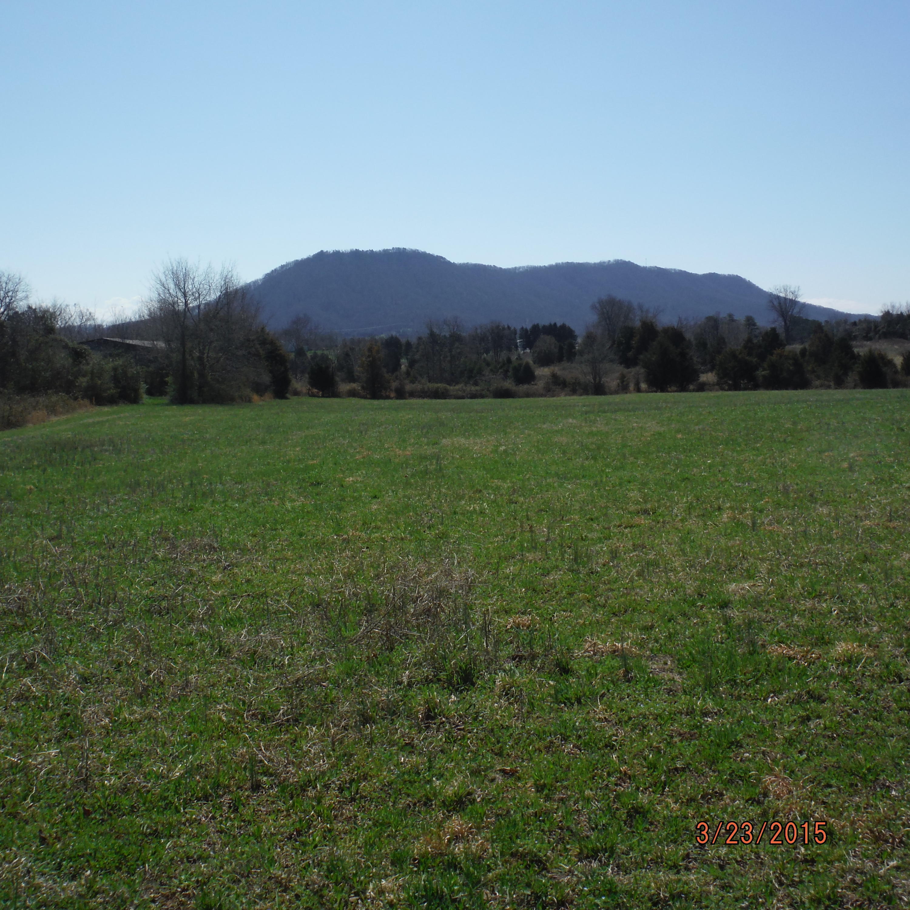 9728 East Emory Road Corryton, TN 37721 - Photo 12 of 12 DSCF1882.JPG
