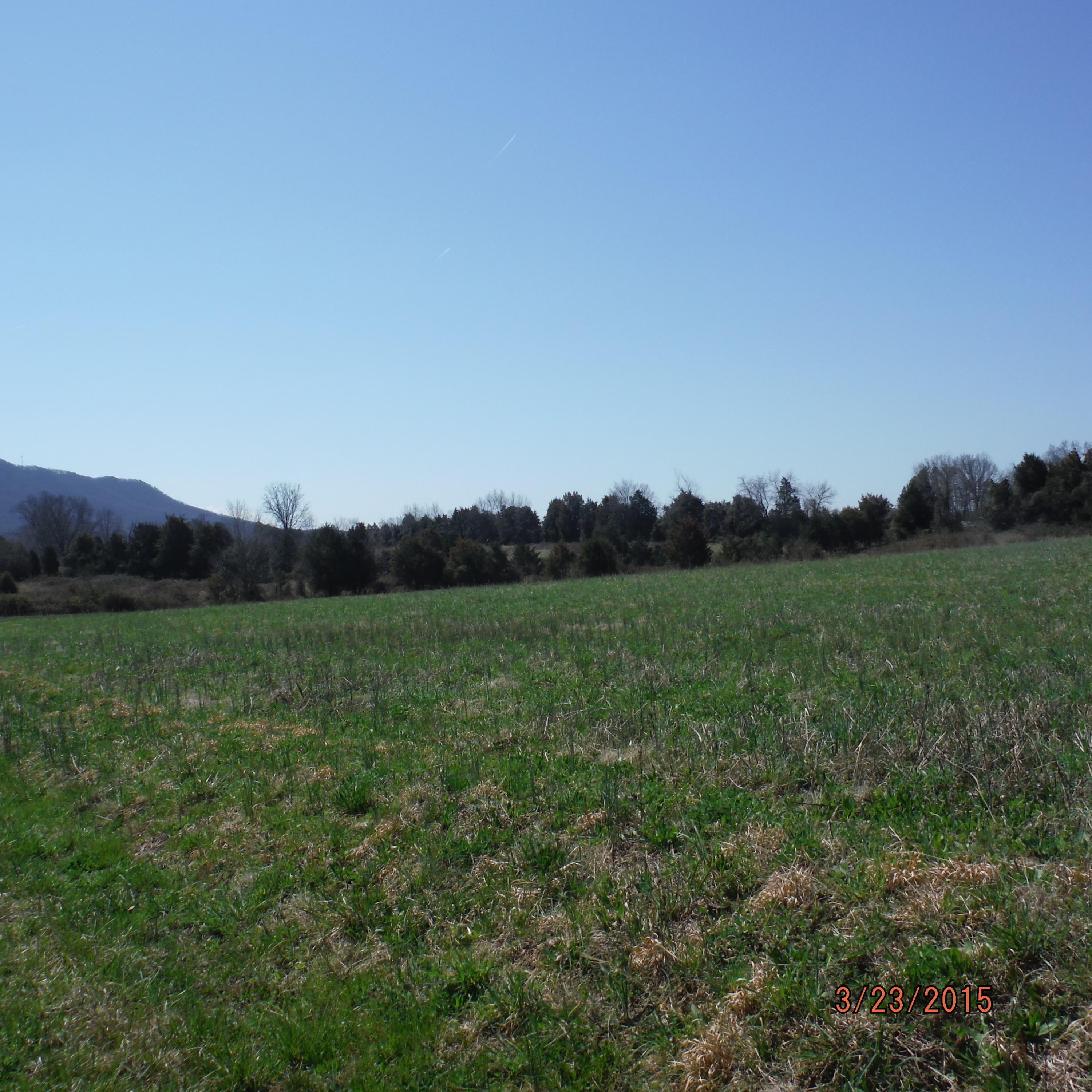 9728 East Emory Road Corryton, TN 37721 - Photo 5 of 12 DSCF1869.JPG