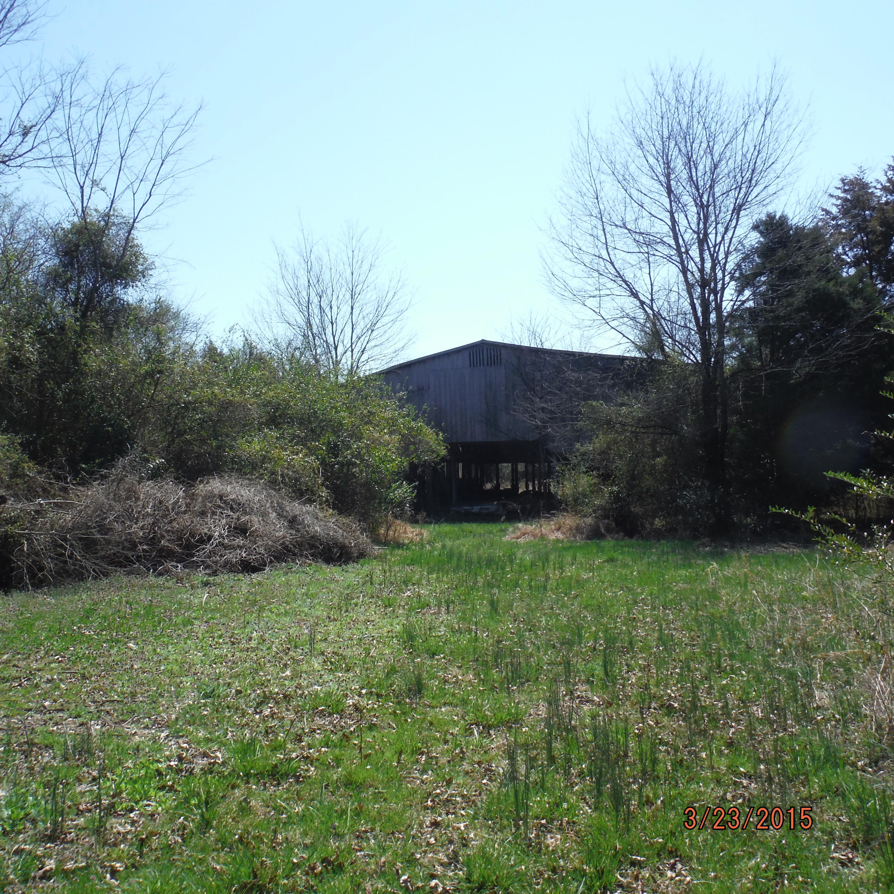 9728 East Emory Road Corryton, TN 37721 - Photo 7 of 12 DSCF1871.JPG