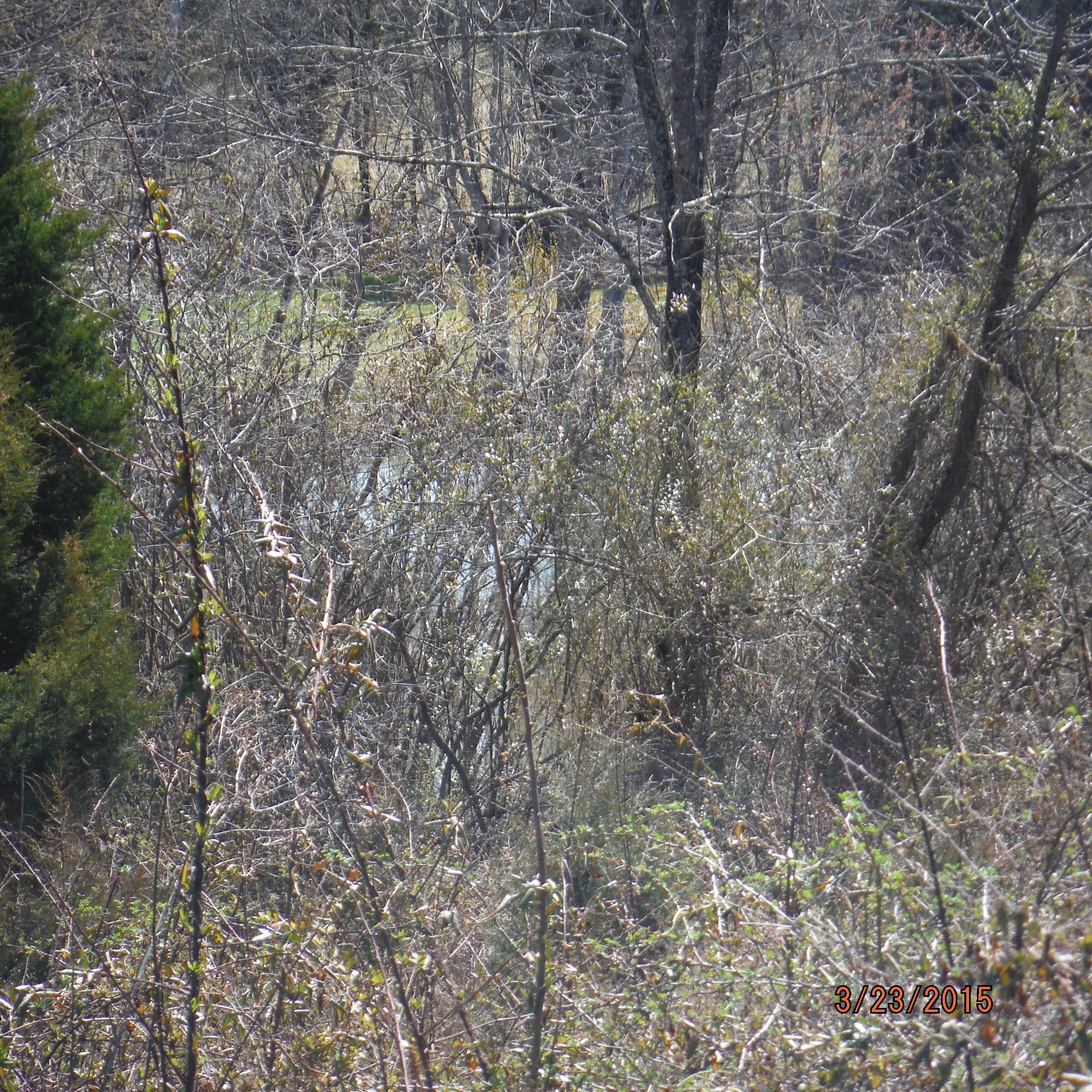 9728 East Emory Road Corryton, TN 37721 - Photo 8 of 12 DSCF1885.JPG