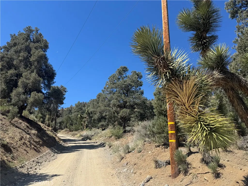 41112 Jack Rabbit Pinon Hills Pinon Hills, CA 92372 - Photo 1 of 6