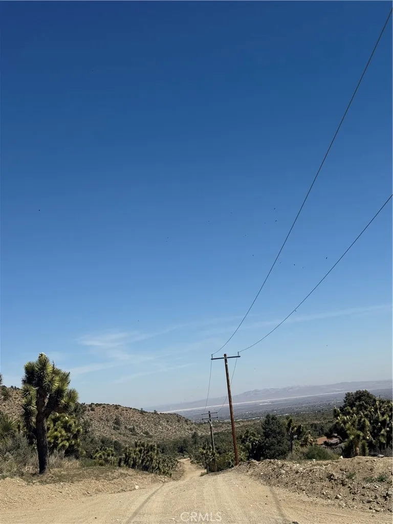 41112 Jack Rabbit Pinon Hills Pinon Hills, CA 92372 - Photo 3 of 6