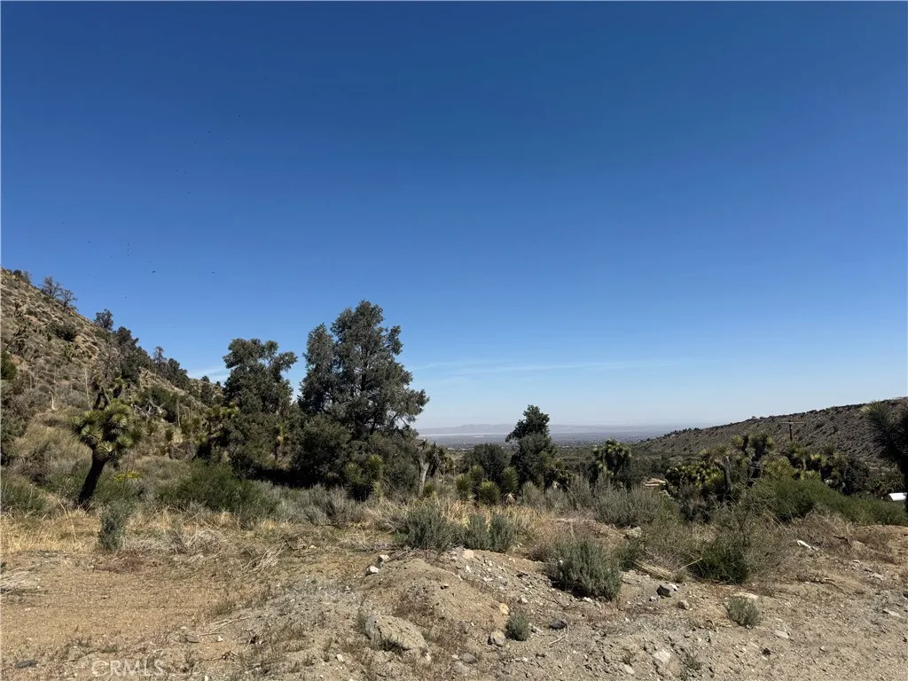 41112 Jack Rabbit Pinon Hills Pinon Hills, CA 92372 - Photo 4 of 6