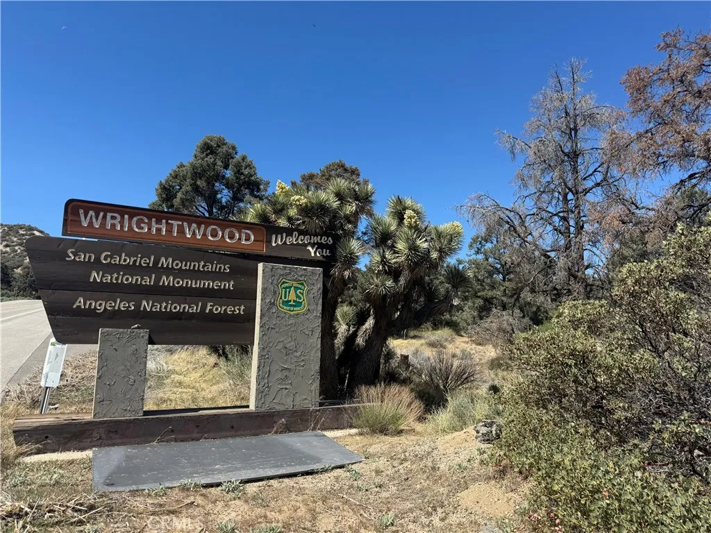 41112 Jack Rabbit Pinon Hills Pinon Hills, CA 92372 - Photo 5 of 6