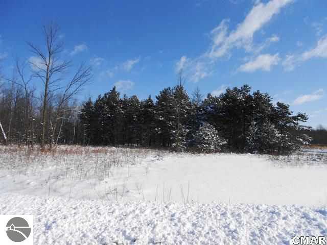 Tbd East Adams Road Wheeler, MI 48662 - Photo 11 of 12 1764455-10.JPG
