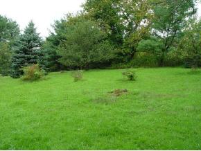 515 Foley Road Windsor, NY 13865 - Photo 8 of 9