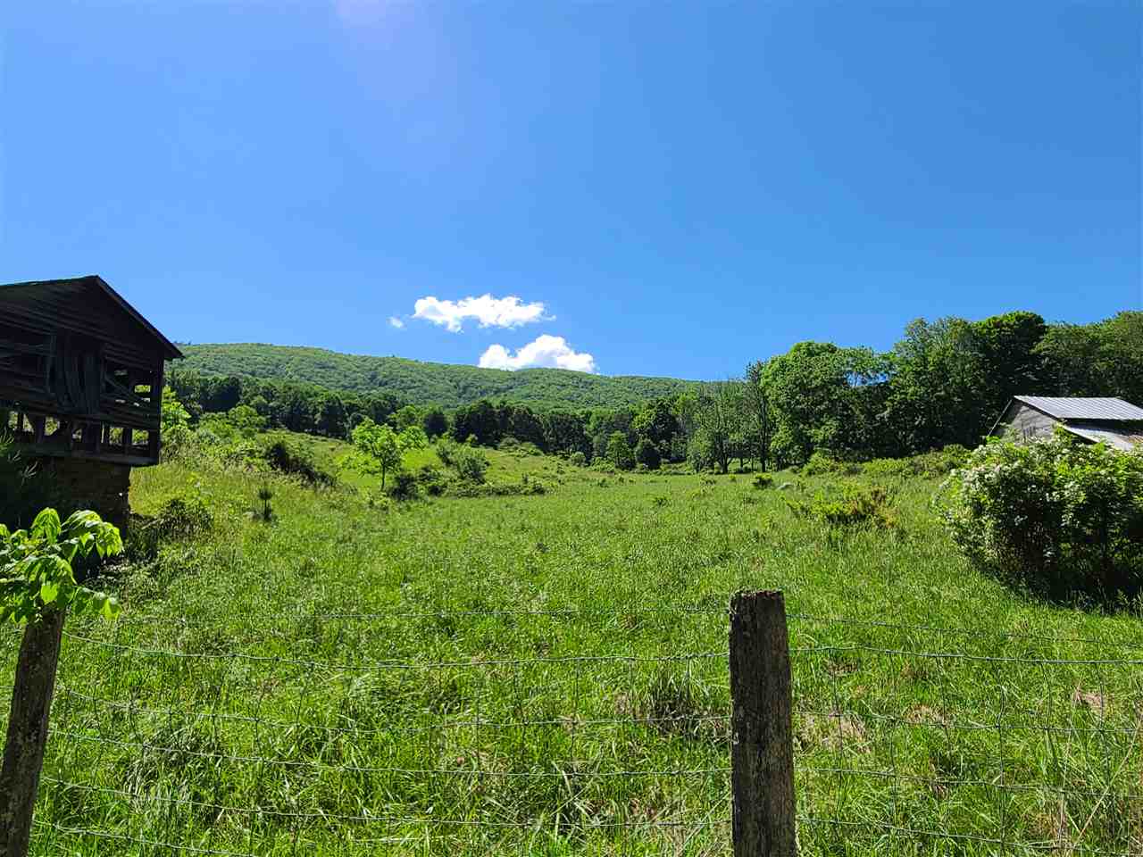 909 Little Valley Road Warm Springs, VA 24484 - Photo 2 of 8 Gallery Image 2