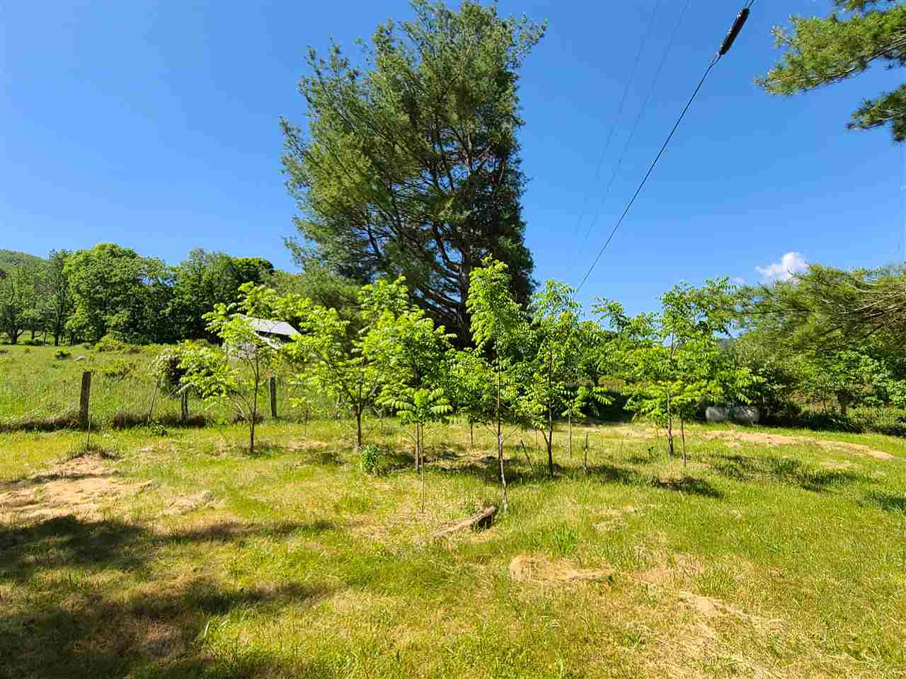 909 Little Valley Road Warm Springs, VA 24484 - Photo 3 of 8 Gallery Image 3