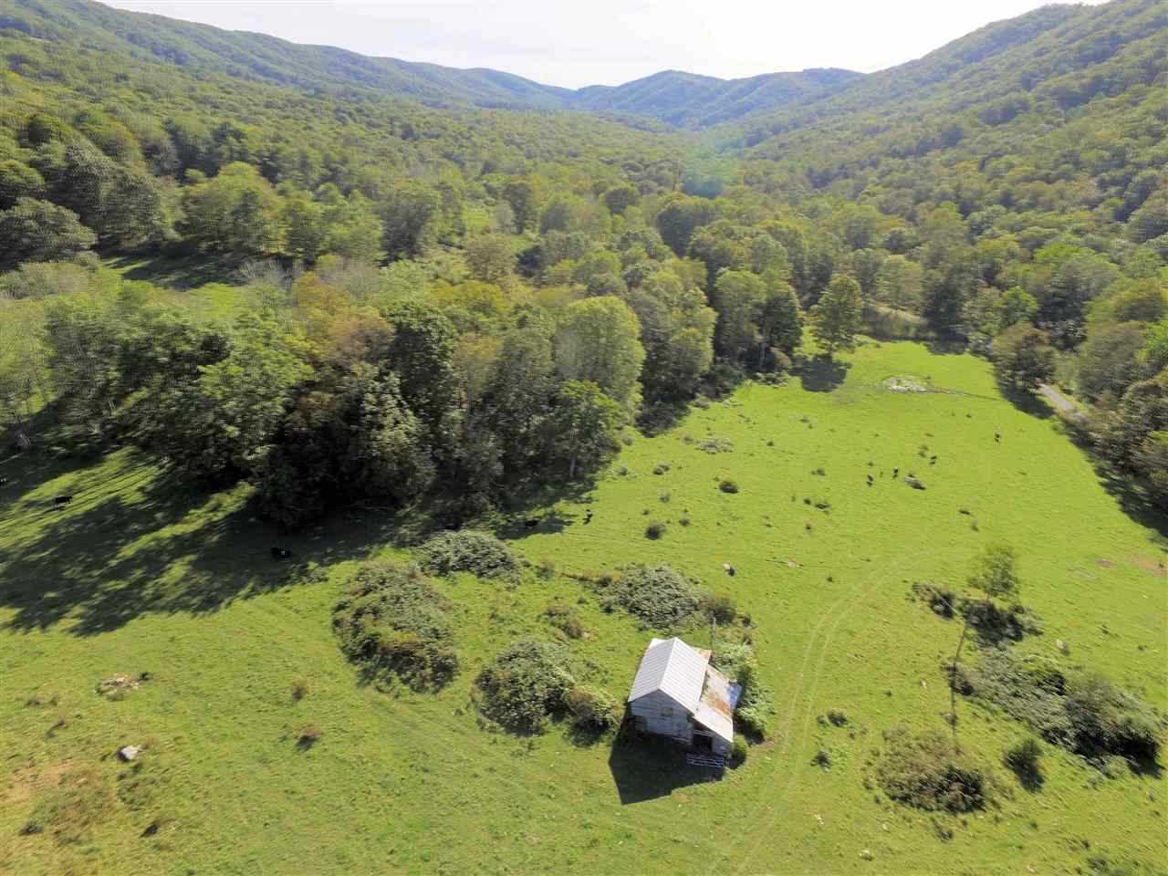 909 Little Valley Road Warm Springs, VA 24484 - Photo 7 of 8 Gallery Image 7
