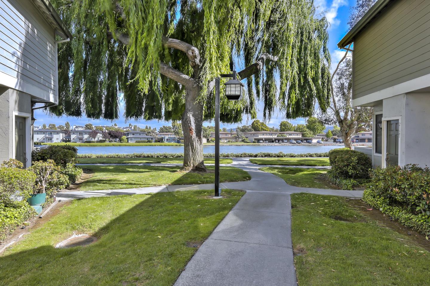 1925 Vista Cay San Mateo, CA 94404 - Photo 22 of 24 a view of swimming pool with lawn chairs and plants