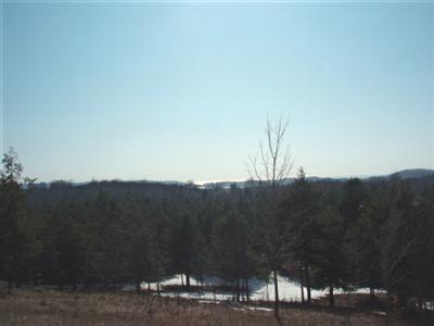 Moon Ridge Onekama, MI 49675 - Photo 1 of 7 Primary Photo