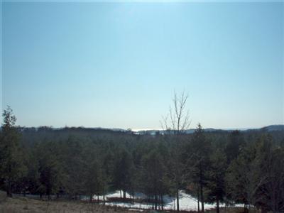Moon Ridge Onekama, MI 49675 - Photo 3 of 7 Additional Photo