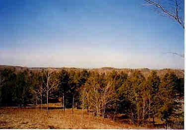 Moon Ridge Onekama, MI 49675 - Photo 6 of 7 Additional Photo