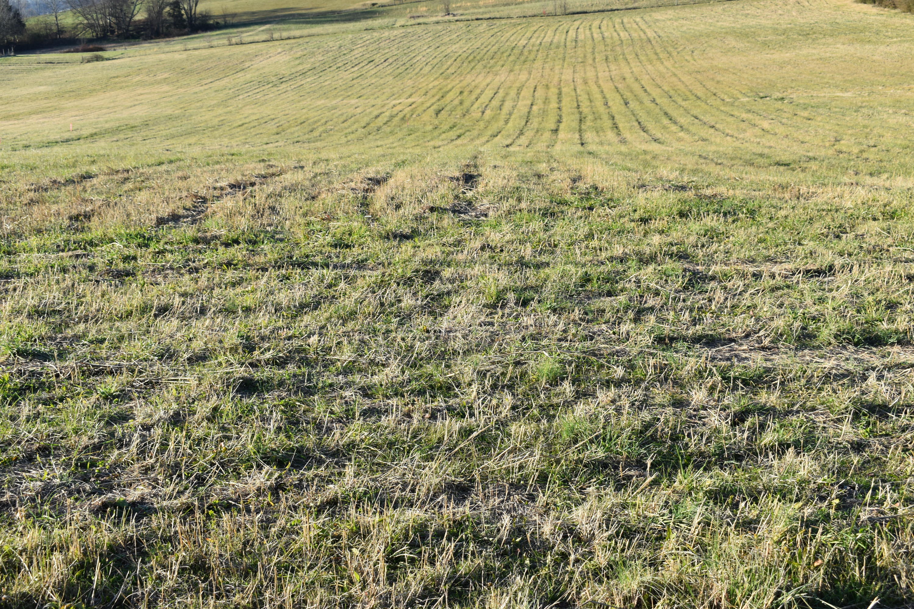 Lot 3 McCleary Road Sevierville, TN 37876 - Photo 1 of 2 DSC_0014