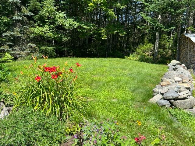 17 Carlisle Road Surry, ME 04684 - Photo 19 of 60 IMG_7241