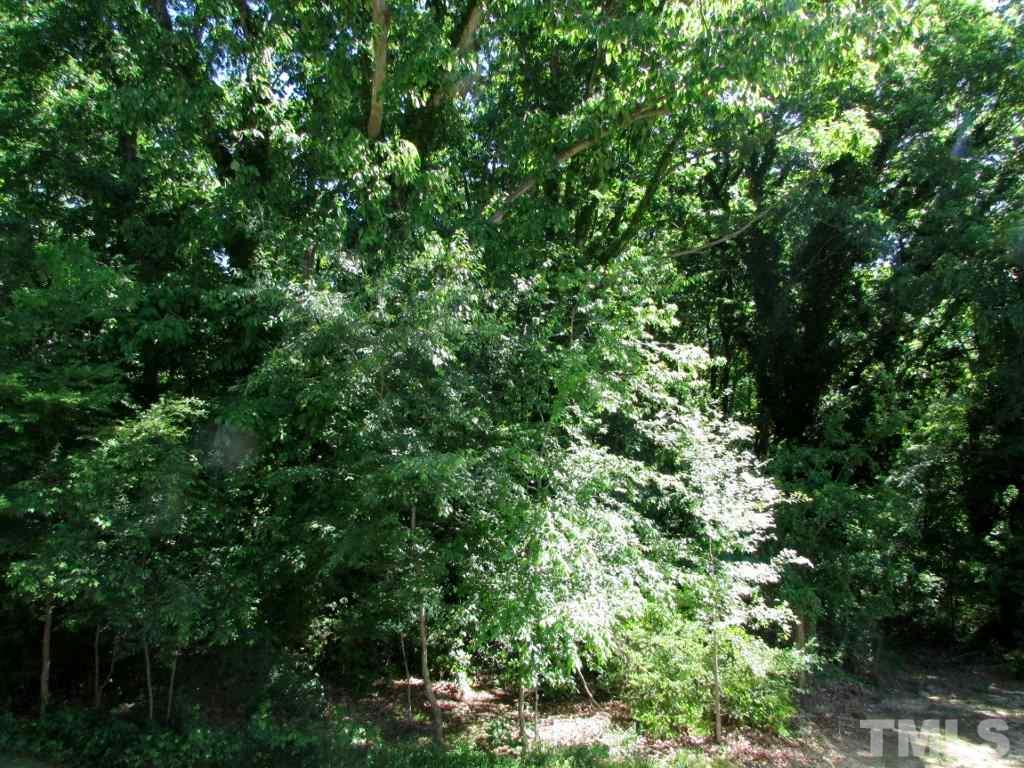 260 Younger Road Roxboro, NC 27573 - Photo 21 of 25 Gallery Image 21