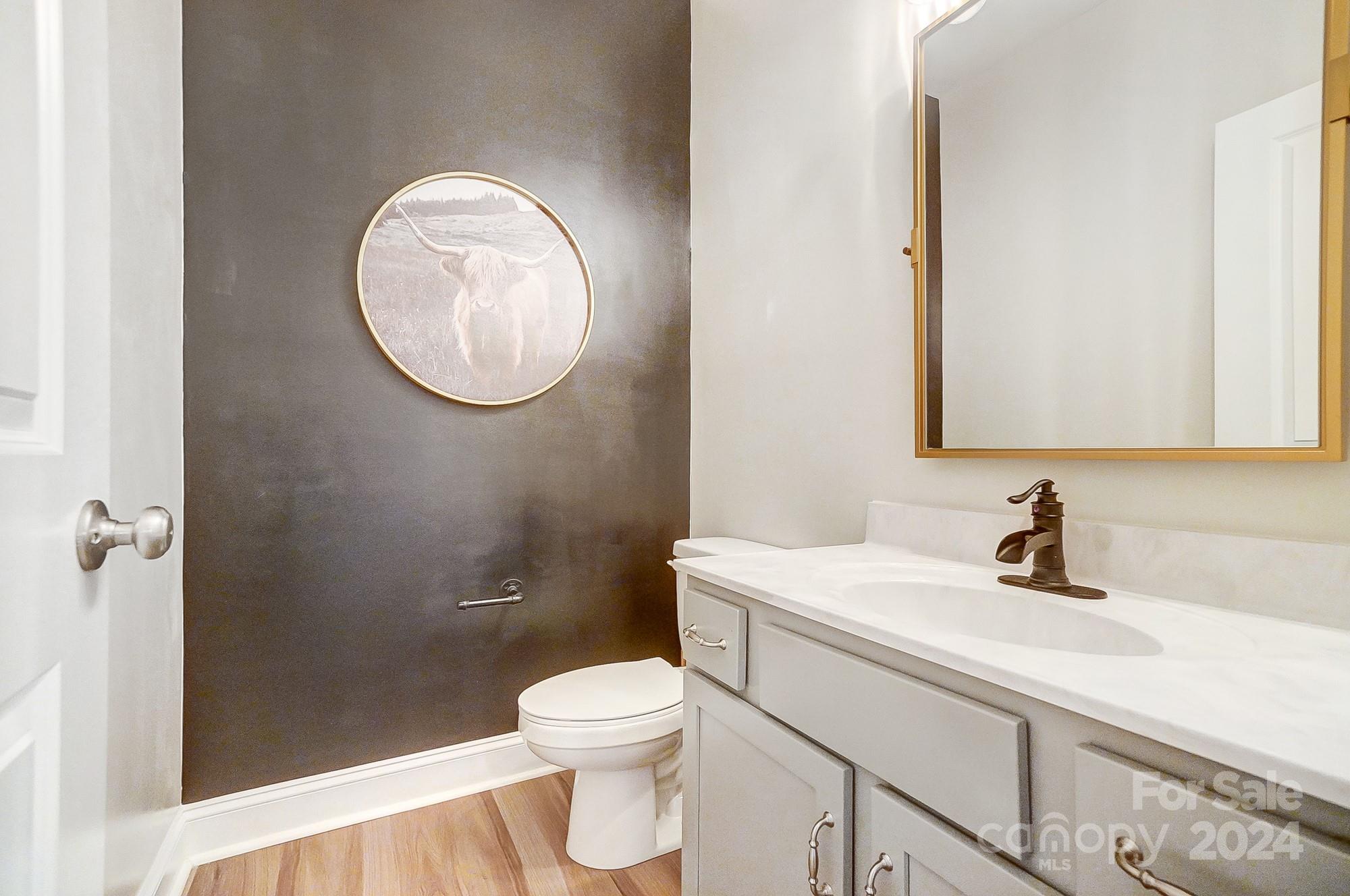 1413 Hamilton Crossroads Road Marshville, NC 28103 - Photo 28 of 42 a bathroom with a toilet a sink and mirror