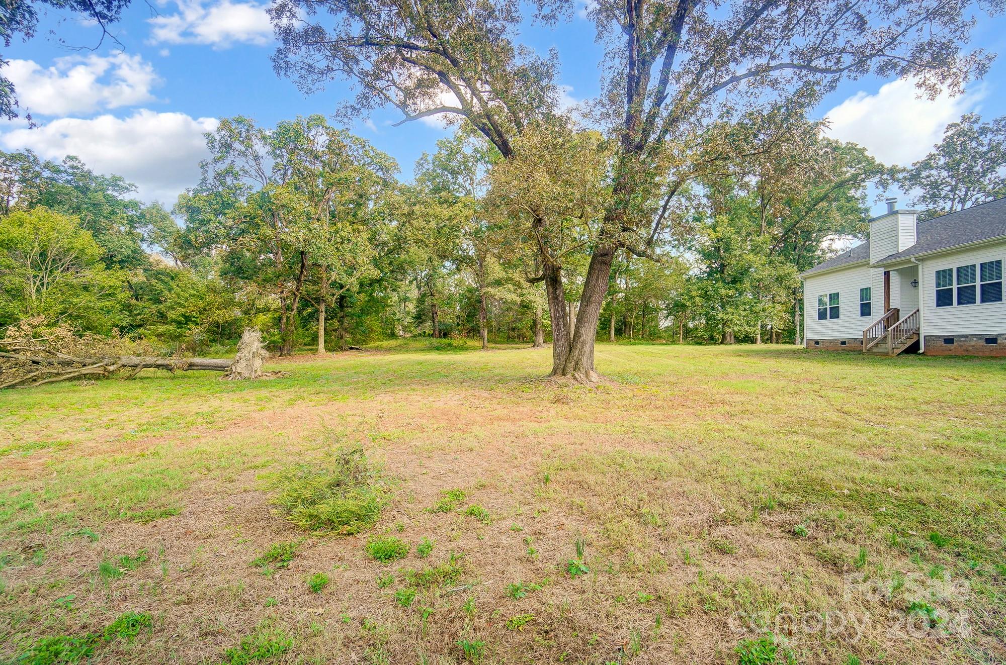 1413 Hamilton Crossroads Road Marshville, NC 28103 - Photo 40 of 42 a view of yard with tree