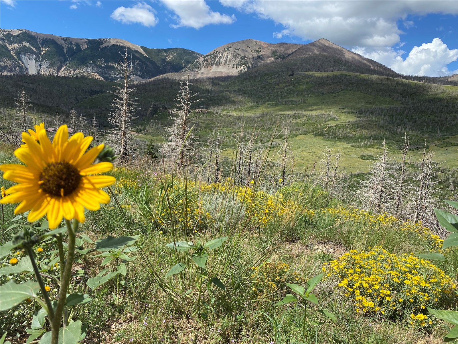 1833 Yellowstone Creek Road Walsenburg, CO 81089 - Photo 40 of 50 a view of lake with mountain