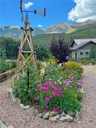 a view of a garden with flowers