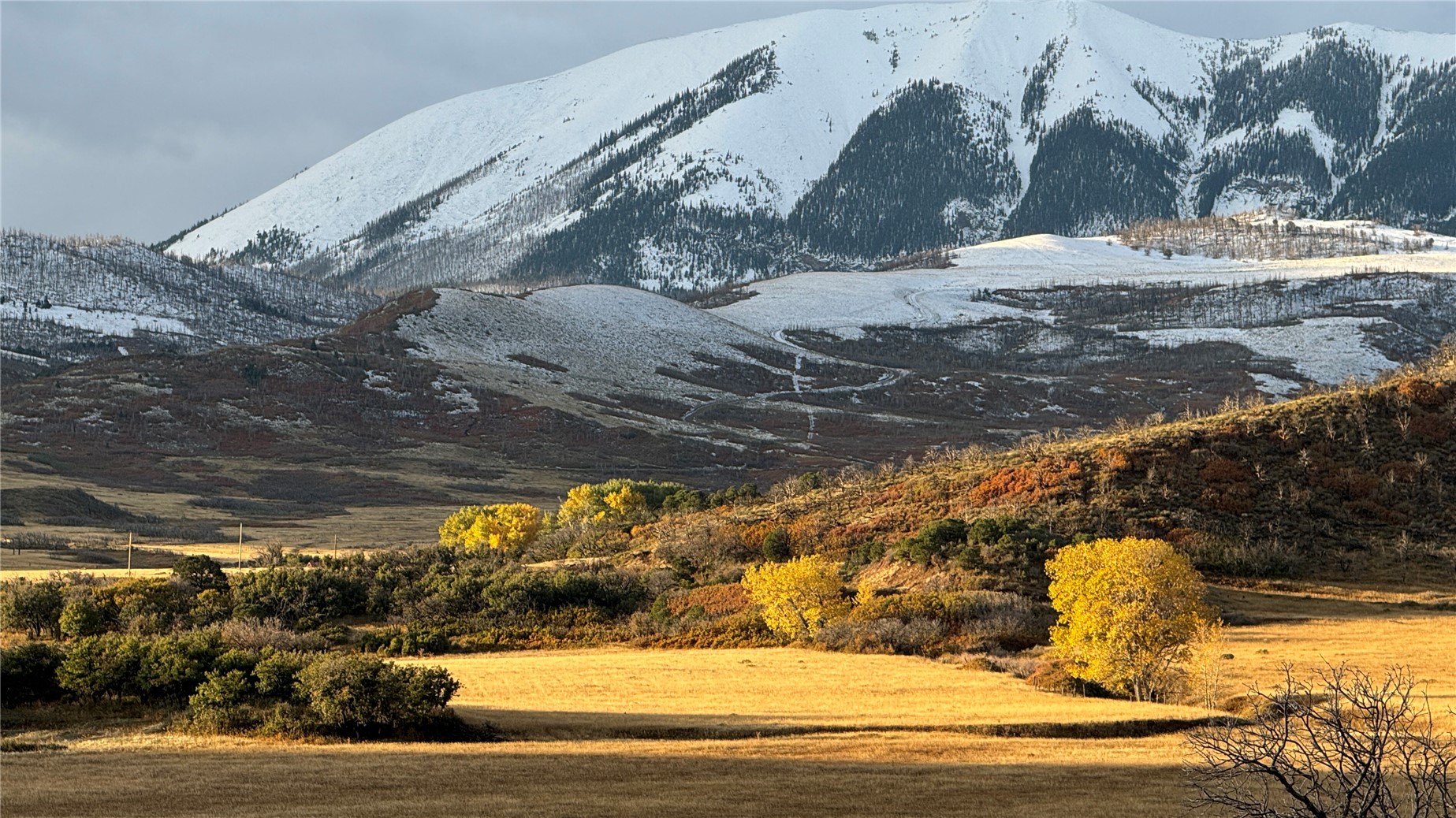 1833 Yellowstone Creek Road Walsenburg, CO 81089 - Photo 42 of 50 a view of a yard with street view