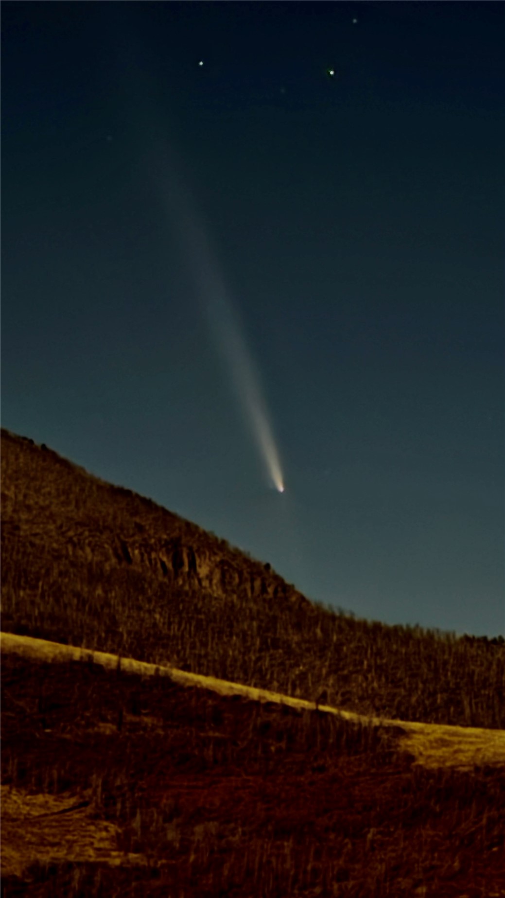 1833 Yellowstone Creek Road Walsenburg, CO 81089 - Photo 44 of 50 a view of room with wooden floor