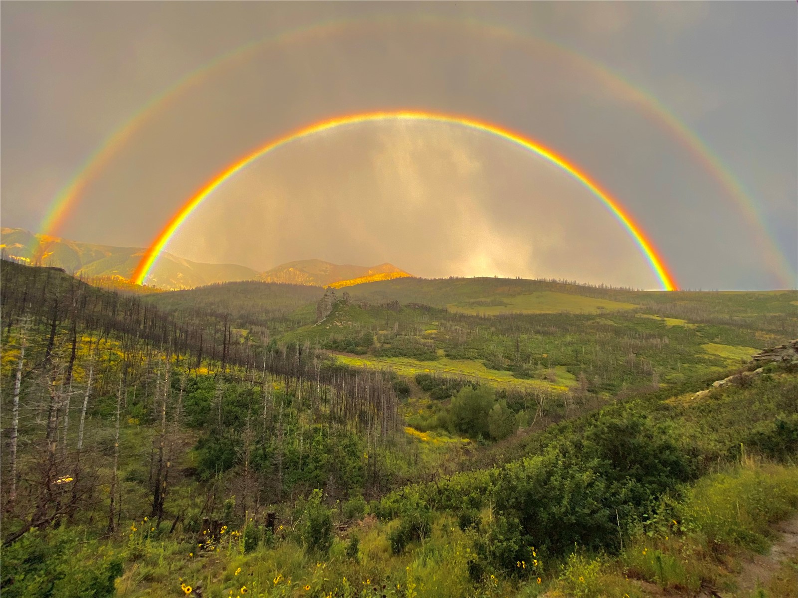 1833 Yellowstone Creek Road Walsenburg, CO 81089 - Photo 45 of 50 a view of a lake and mountain