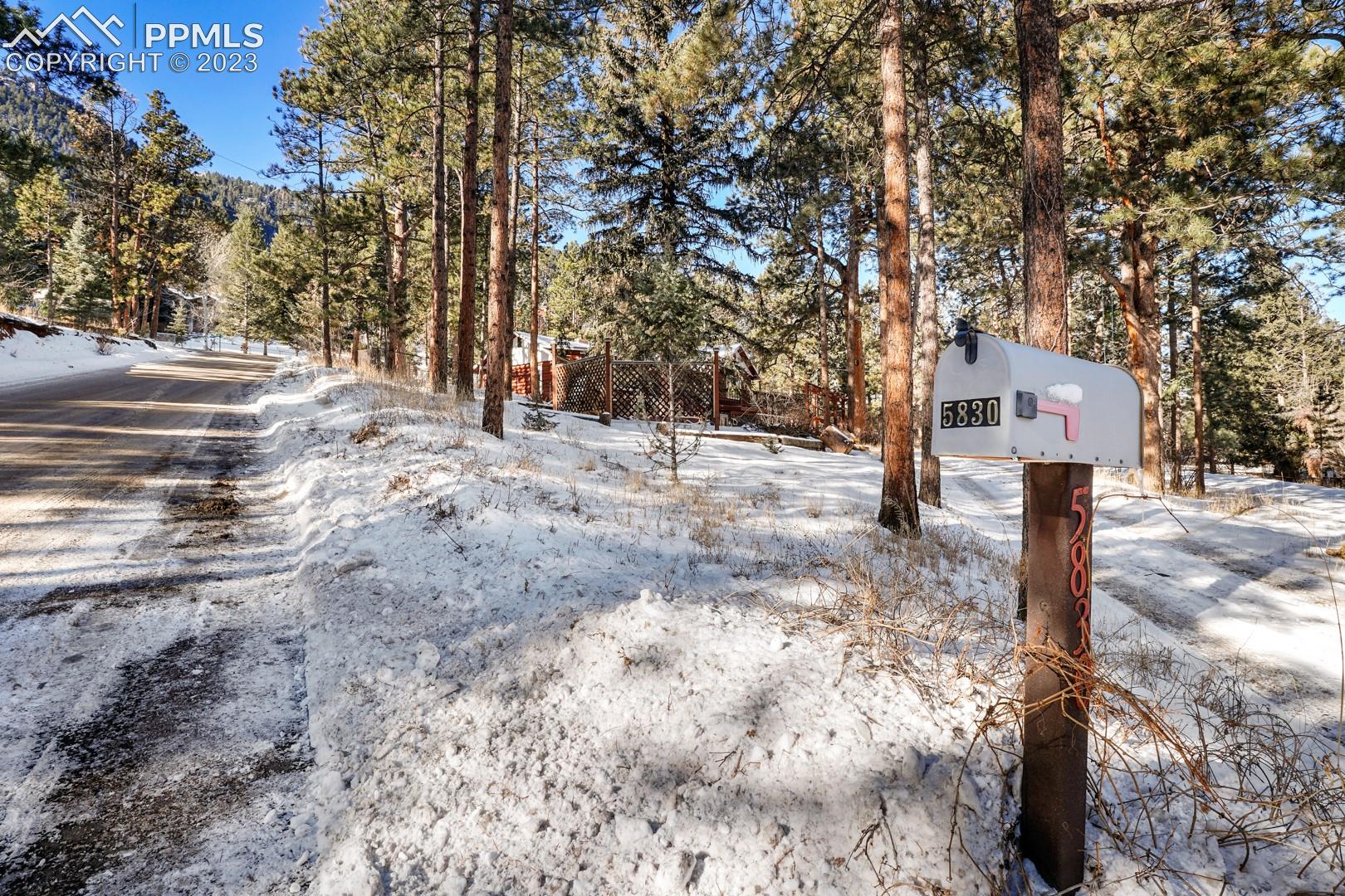 5830 Uneda Road Cascade, CO 80809 - Photo 28 of 34 Gallery Image 28