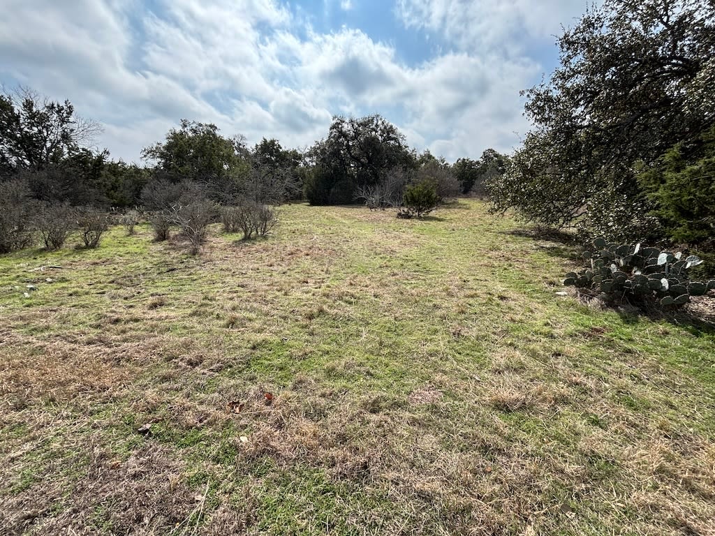 1081 Clark Cove Road Buda, TX 78610 - Photo 12 of 14 a view of a lake view